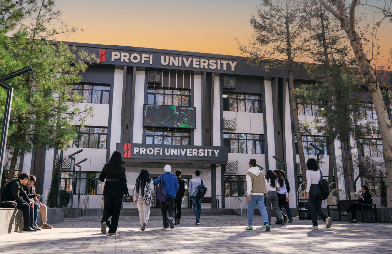 Profi University